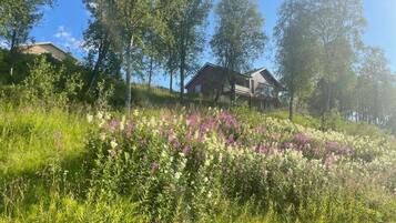 Eksteriør