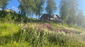 Exterior - The Yellow House - Where sea, mountains and silence meet in Northern Norway (Troms)
