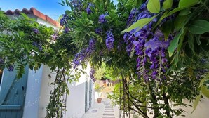 A narrow alleyway with a tree bearing purple flowers, a white wall, and a blue window. - House between forest & beach on foot • Nordic bath (Jard-sur-Mer)