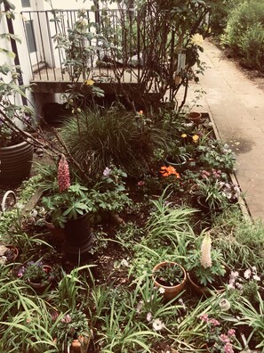 Property grounds - Boutique Bijoux Garden Flat in Vibrant Oval (London)