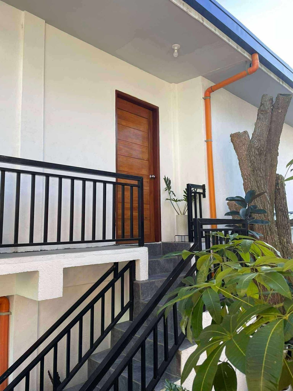 Detalle del exterior