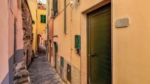 A narrow cobblestone street with buildings on either side, a green door, and a house number sign. - Paradise 1, Marine Lands (Riomaggiore)