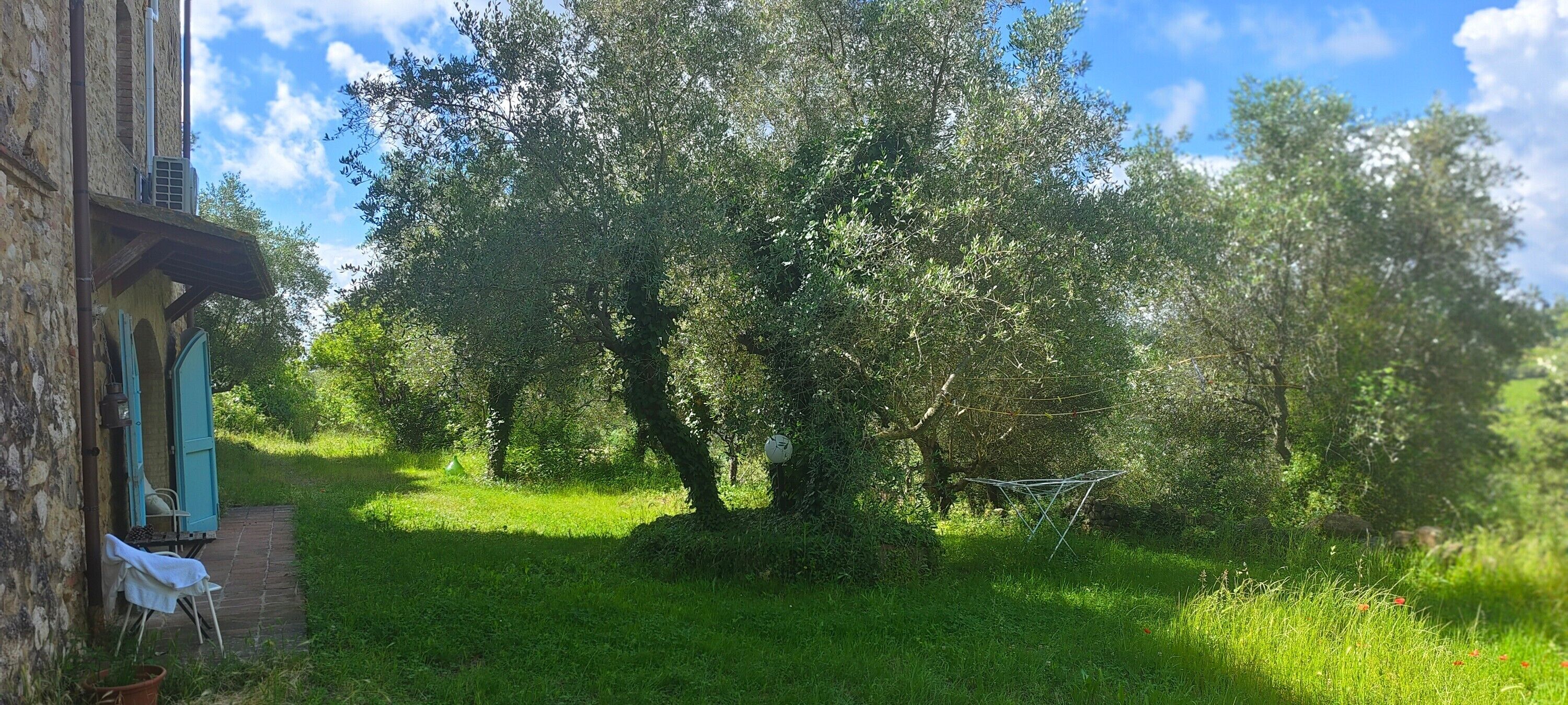 Área da propriedade