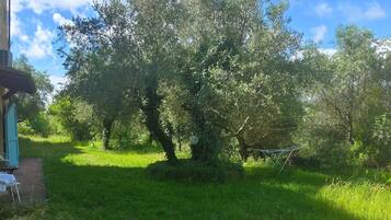 Área da propriedade