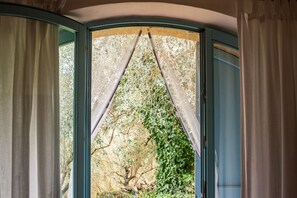 A window with a view of greenery and trees.