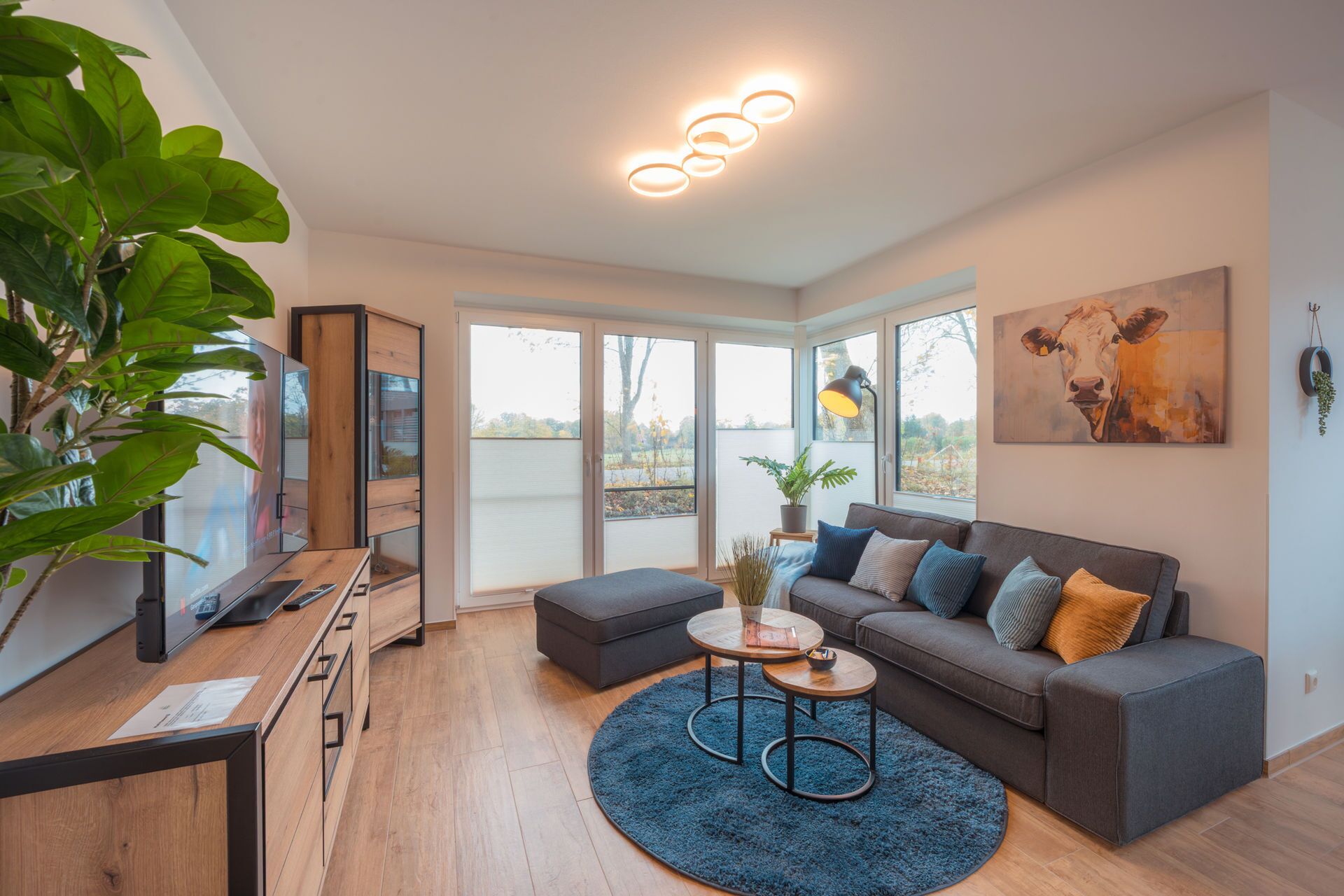 Televisie en een stereo