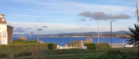 Vista desde la propiedad