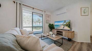 TV, offices