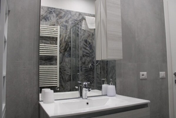 Shower, hair dryer, bidet, towels