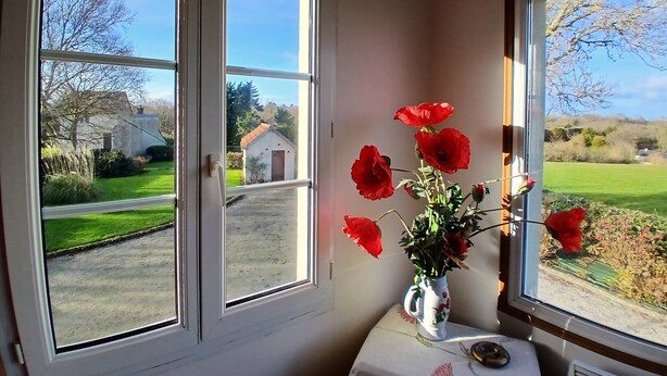 Ein Zimmer mit zwei Fenstern, einer Vase mit roten Blumen auf einem Tisch und Blick auf eine grüne Landschaft und Gebäude.