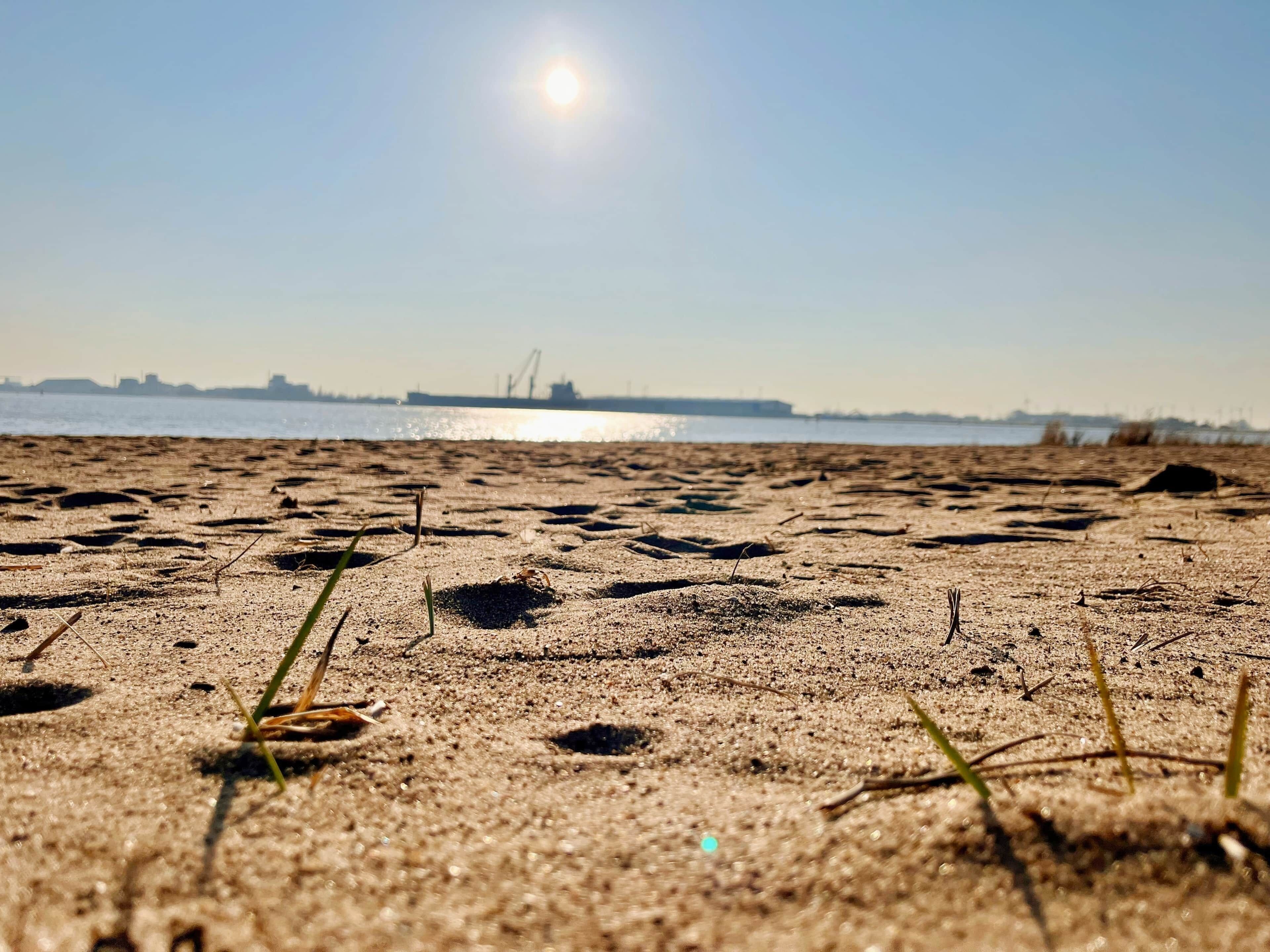 Strand