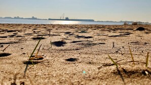 Ein Sandstrand mit vereinzelter Vegetation und ein Blick auf ein Schiff sowie Industriegebäude in der Ferne.