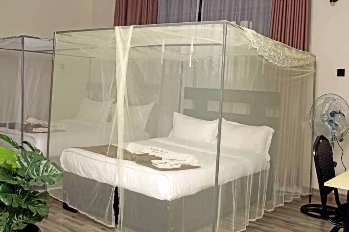 Desk, laptop workspace, free WiFi