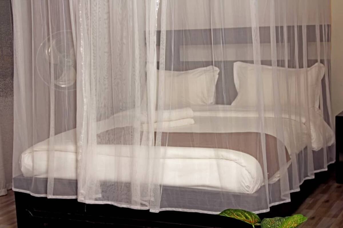 Una cama con una colcha blanca y almohadas, cubierta por un dosel blanco translúcido.