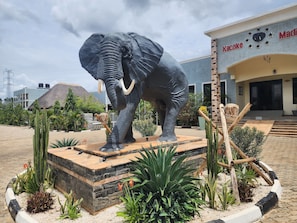 Property grounds - Kacoke Madit Hotel and Cultural Centre (Koro Abili)