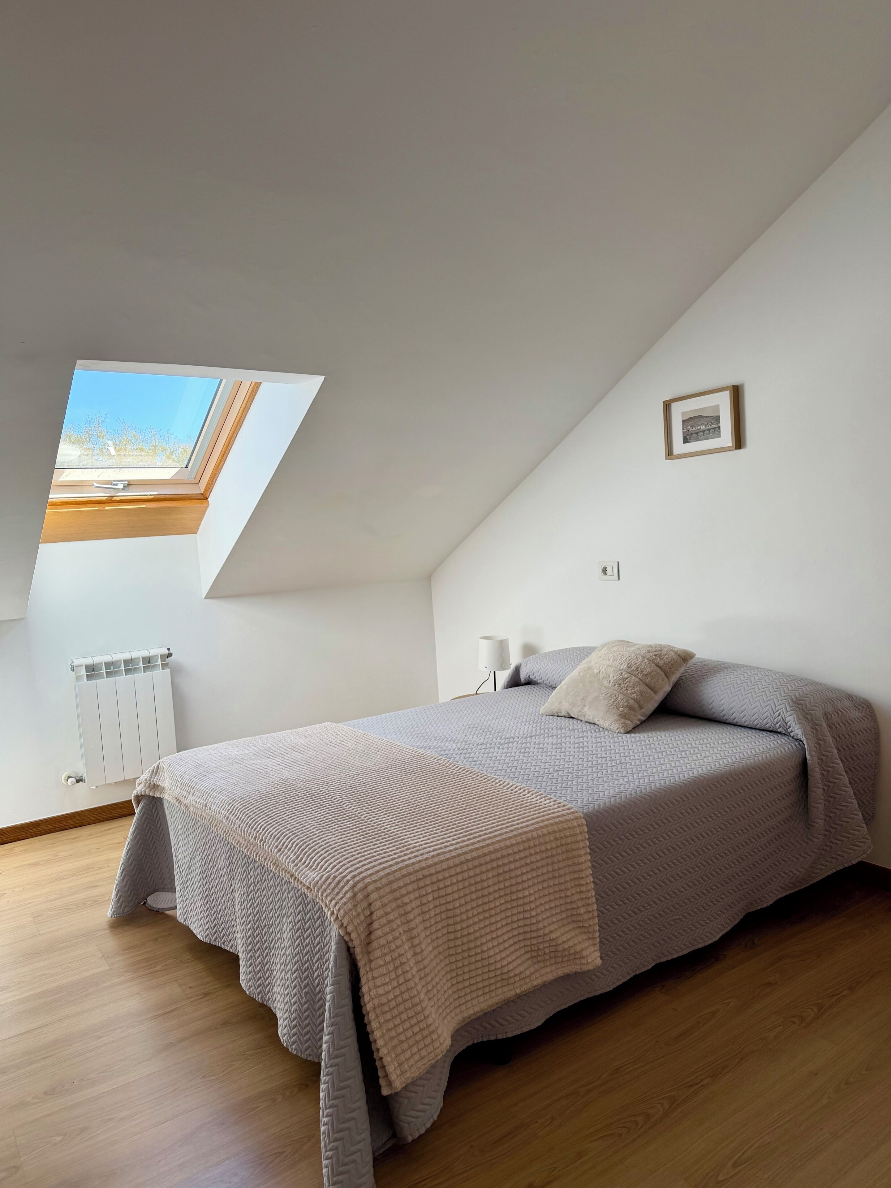 A bedroom with a skylight, a bed with a patterned bedspread, a radiator, and a framed picture on the wall.
