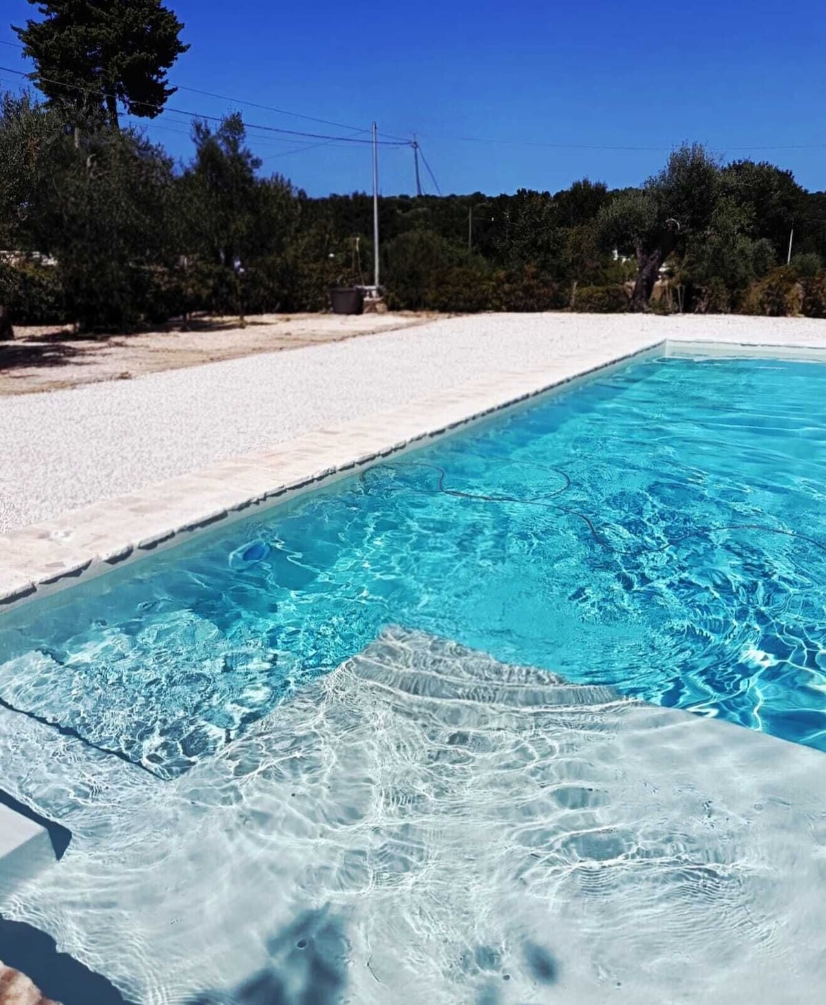 オーナーのプロフィール画像