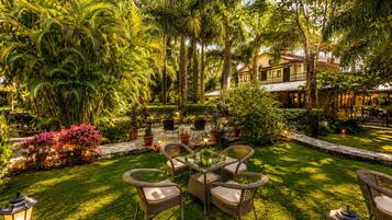 Garden view