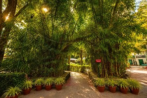Entrada interior