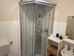 Shower, hair dryer, bidet, towels