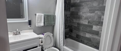 Hair dryer, bidet, towels, soap
