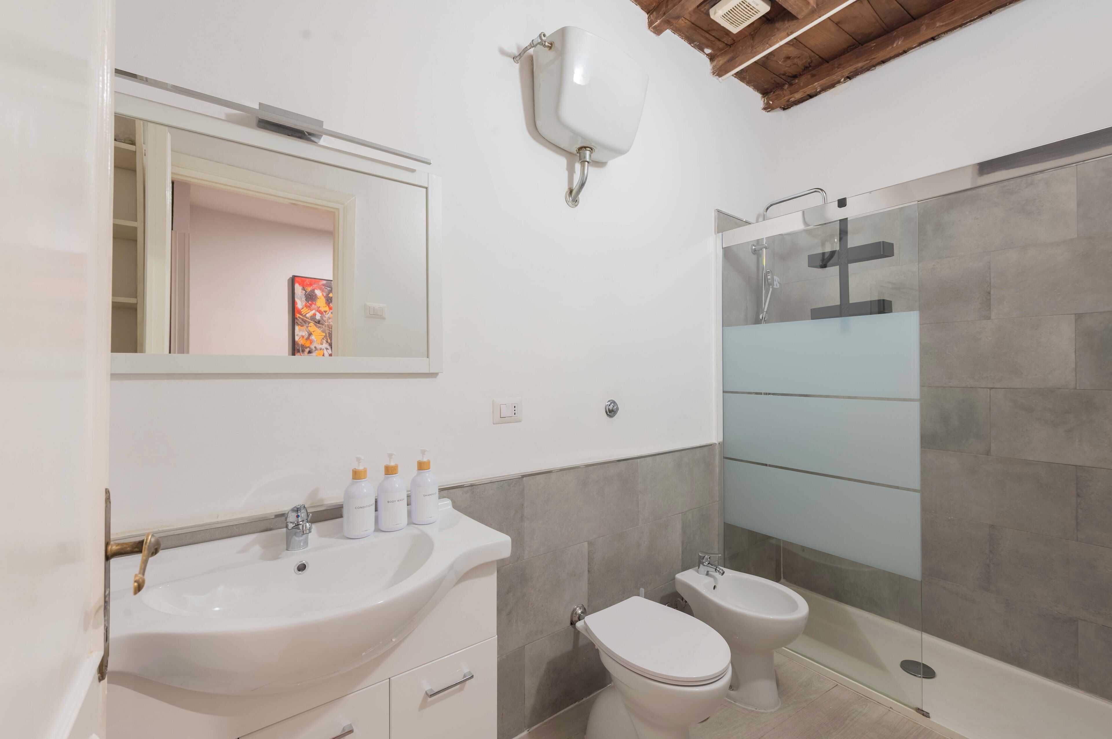 Shower, hair dryer, bidet, towels