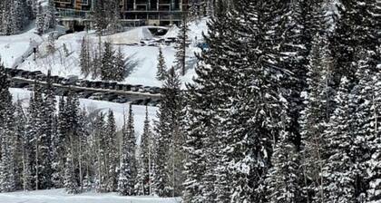 Snowbird Iron Blosam Loft Suite, slope side, mtn view, full kitchen, fireplace
