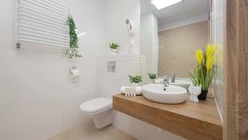 Shower, hair dryer, towels, shampoo