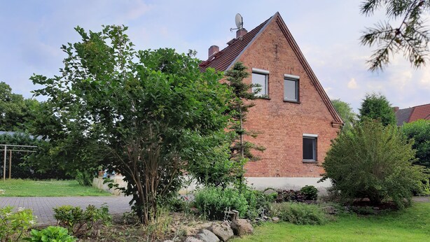 Ett hus byggt av tegel med ett sluttande tak, två fönster och en trädgård med olika växter och ett litet träd.