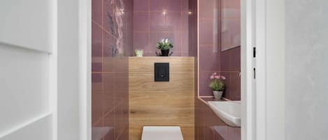 Shower, hair dryer, towels, shampoo