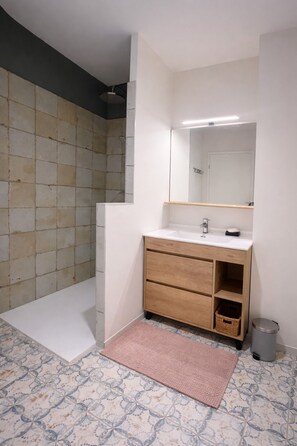 Shower, hair dryer, towels, soap - Architect's duplex loft 3 double bedrooms & 2 private parking spaces (Mulhouse)