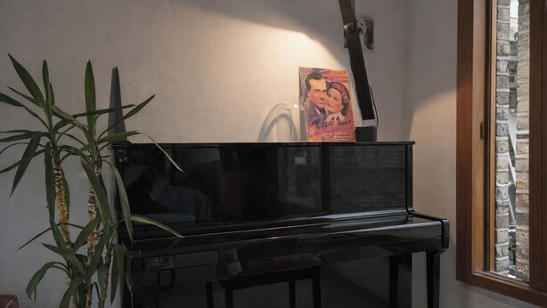 A black piano in a room with a potted plant and a poster on the wall. - 1 Bed Apartment - Sleeps 3 - Central London (London)