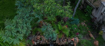 Darwendale Chishongo Lodge for one