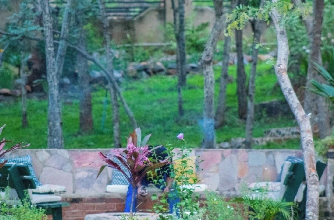 Loft, 4 habitaciones, con acceso para personas discapacitadas, para fumadores | Jardín