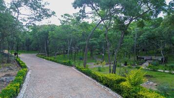 Loft, 2 chambres, accessible aux personnes à mobilité réduite, fumeurs | Jardin