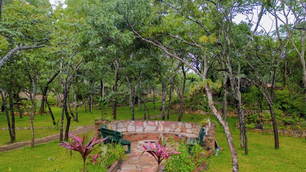 Un sendero de piedra conduce a un banco de piedra curvo, rodeado de exuberante follaje y árboles.
