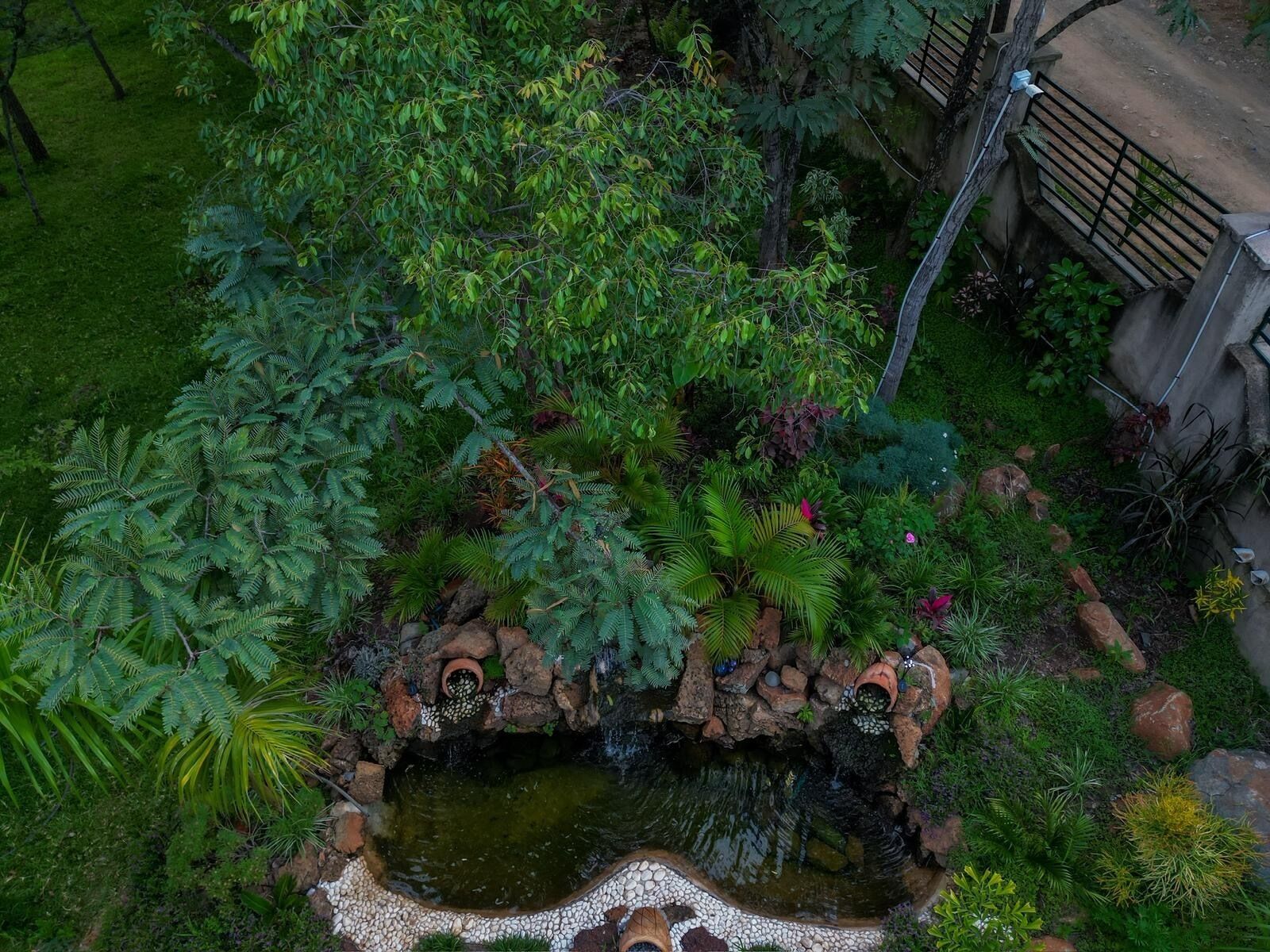 Jardim