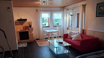 Télévision, cheminée, chaîne hi-fi