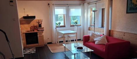 Télévision, cheminée, chaîne hi-fi