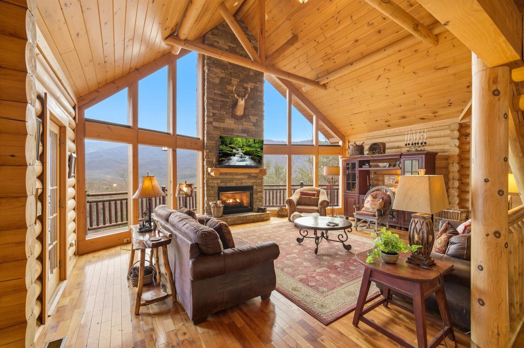 TV, fireplace, video games