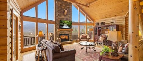 电视、壁炉、电子游戏