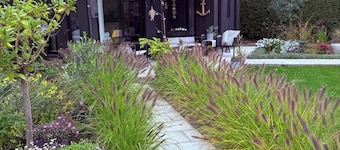 Sanctuary by the Shore