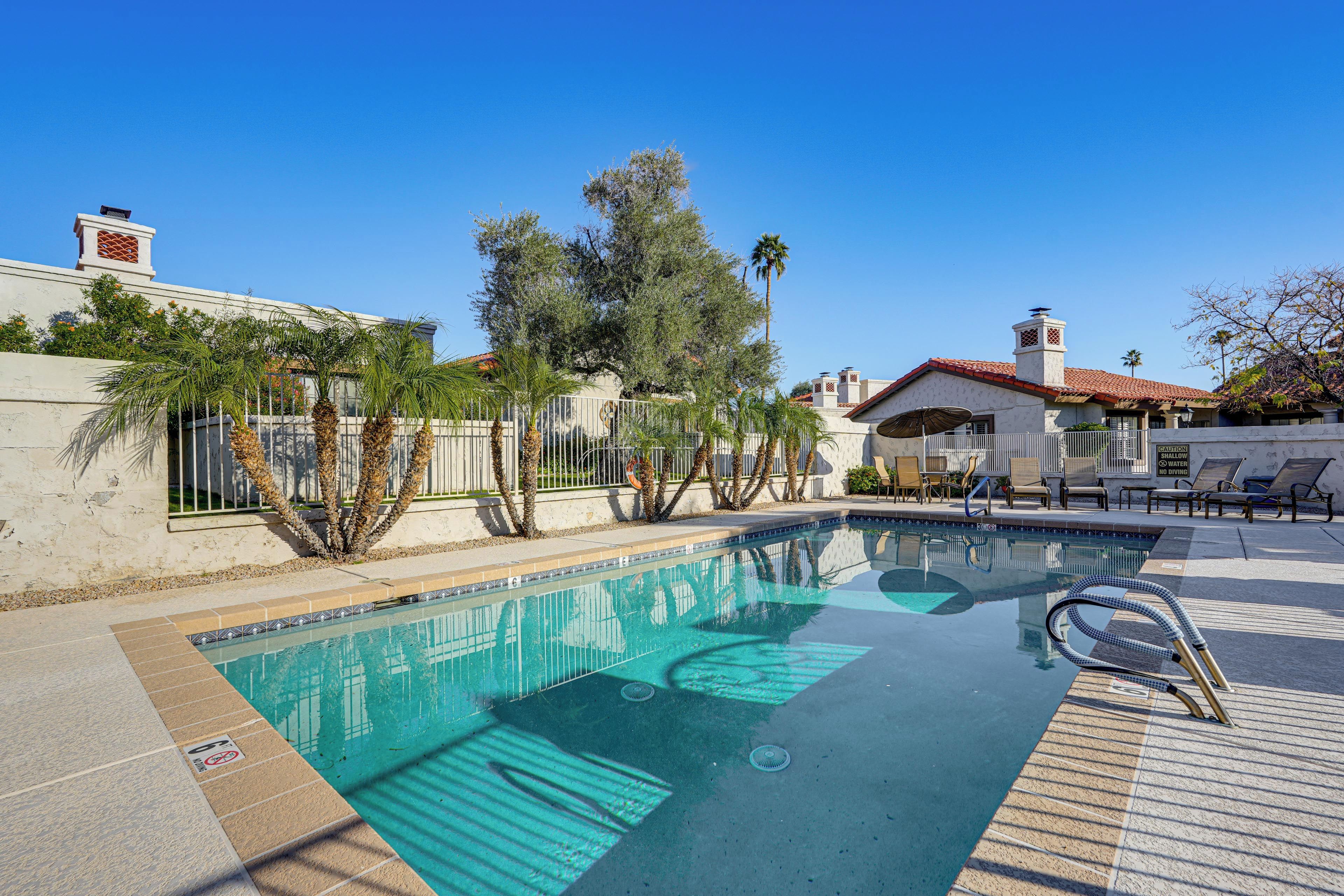 A swimming pool with a tiled deck, lounge chairs, and palm trees.