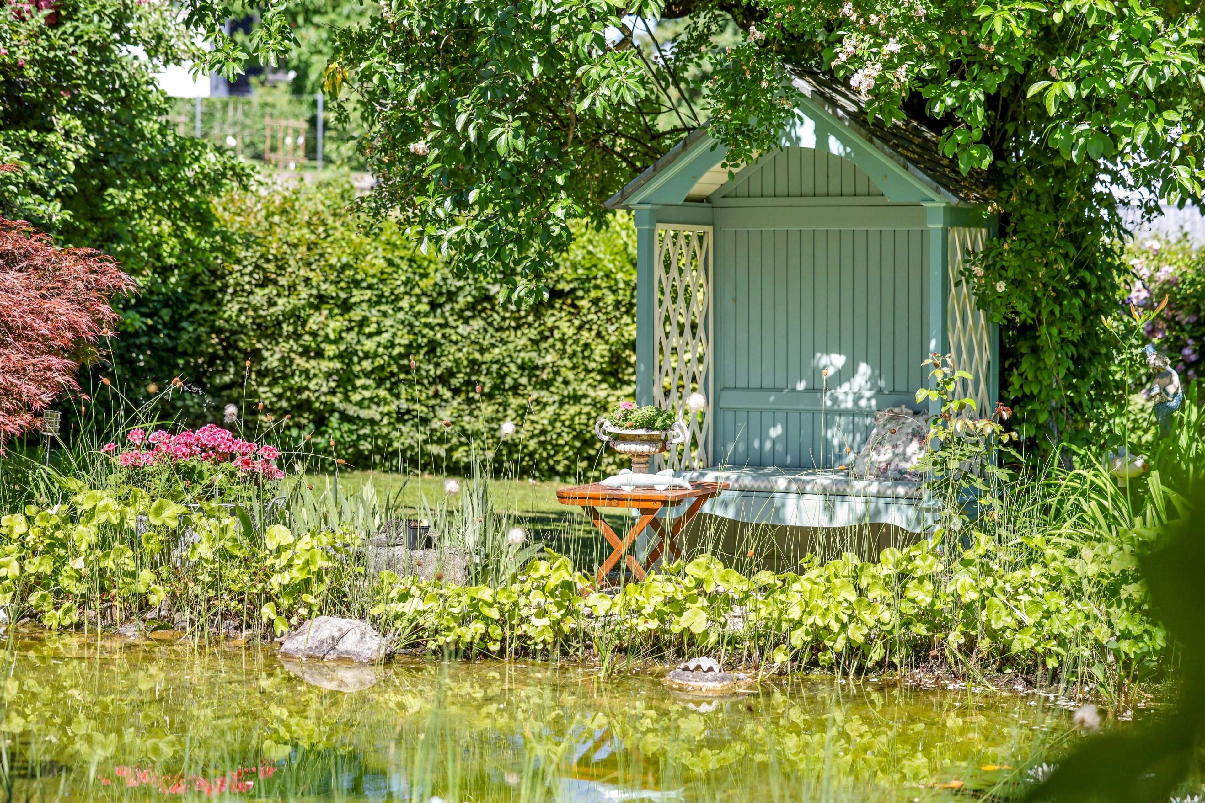 Un jardin avec un bassin, un abri en bois et une table sur laquelle est posée une plante en pot.