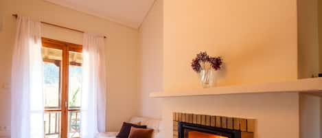TV connectée, cheminée, livres