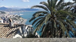 Eine Küstenstadt mit einer markanten Palme im Vordergrund, Blick auf das Meer und Häuser mit Terrakotta-Dächern.