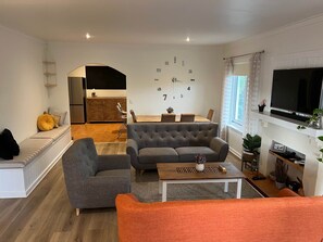 Fernseher