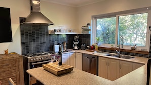 Una cucina moderna con piano cottura a gas, lavello in acciaio inossidabile e una finestra che offre vista sugli alberi.