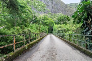A paved road with metal railings on both sides, surrounded by dense green foliage and a mountainous backdrop. - S tio com Piscina e Lareira a 10 min de Itaipava (Petrópolis)