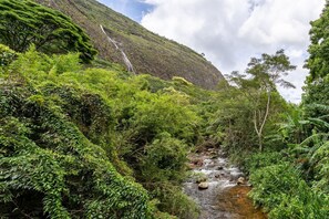 A lush green landscape with a waterfall and a stream. - S tio com Piscina e Lareira a 10 min de Itaipava (Petrópolis)